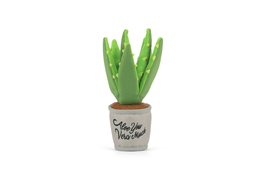 Blooming Buddies - Aloe've You Plant