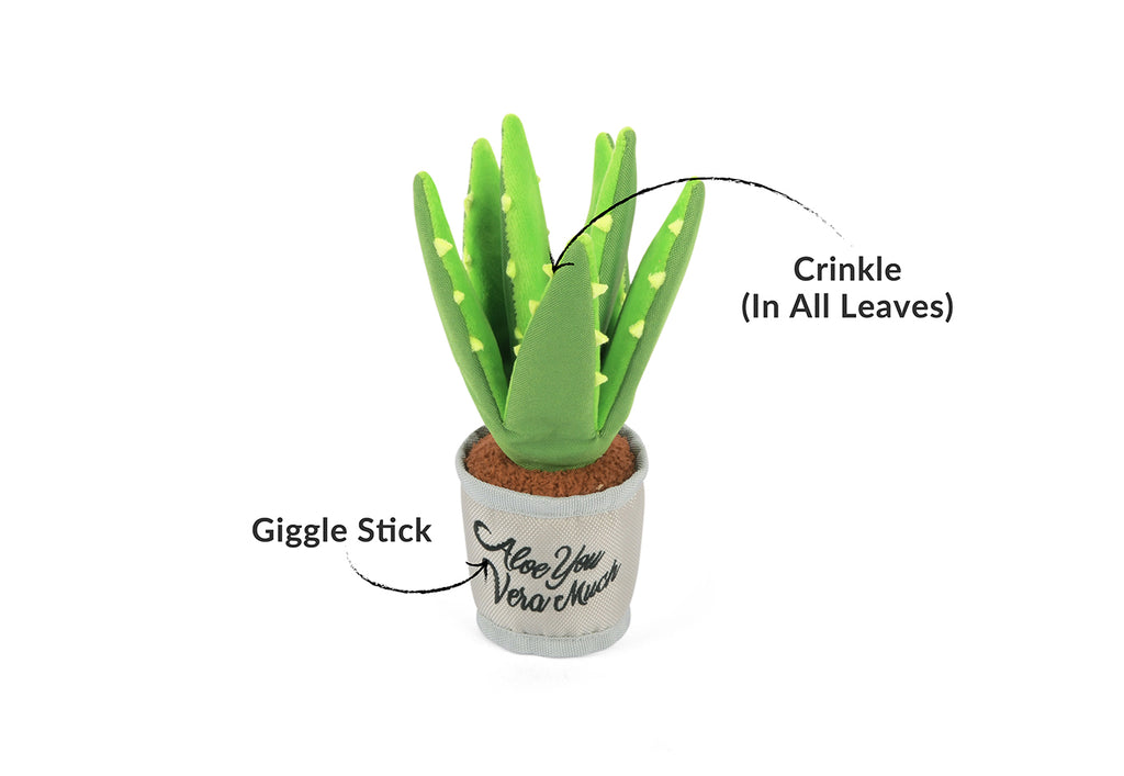 Blooming Buddies - Aloe've You Plant