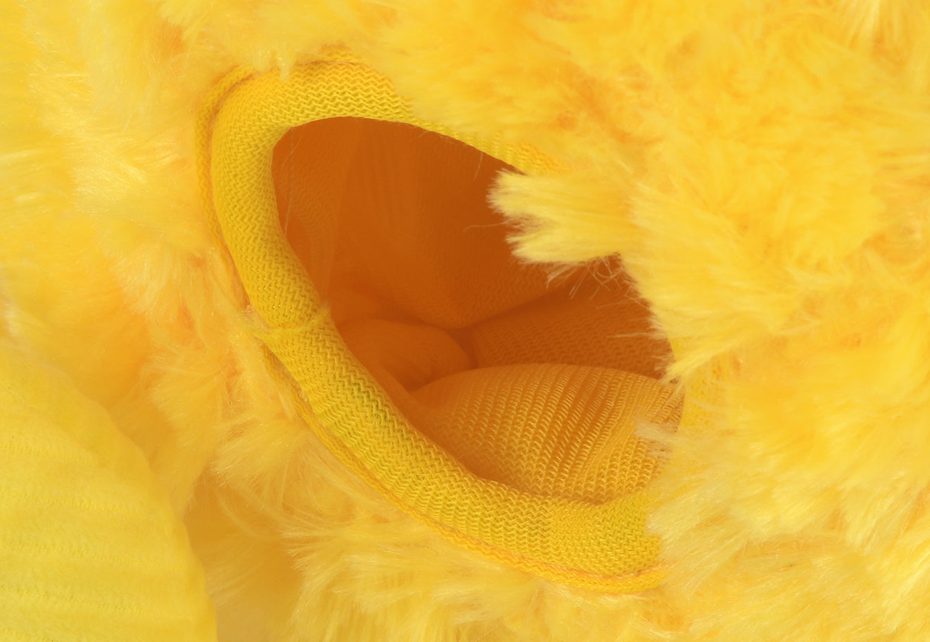 Tropical Paradise - Paws Up Pineapple