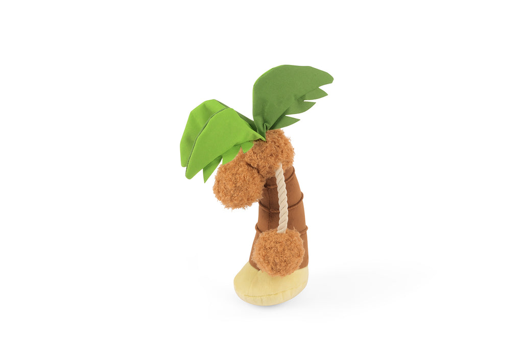 Tropical Paradise - Puppy Palm