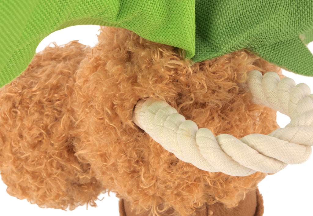 Tropical Paradise - Puppy Palm