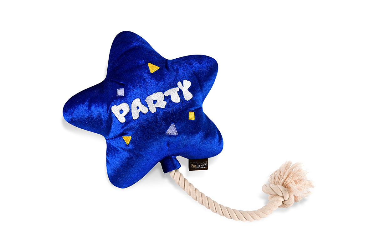 Party Time - Best Day Ever Balloon