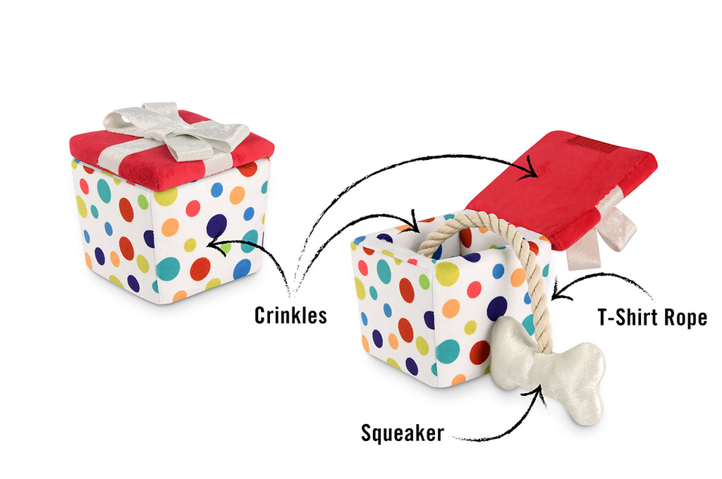 Party Time - Pawfect Present