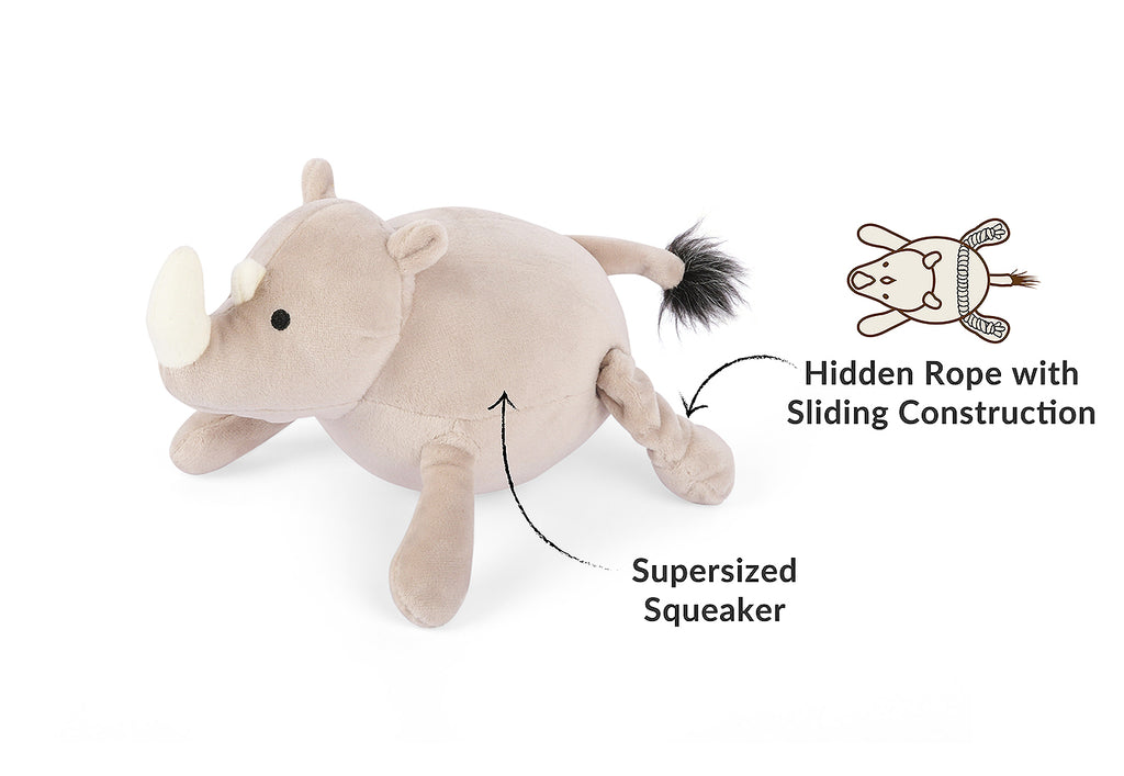 Big Five of Africa - Rhino