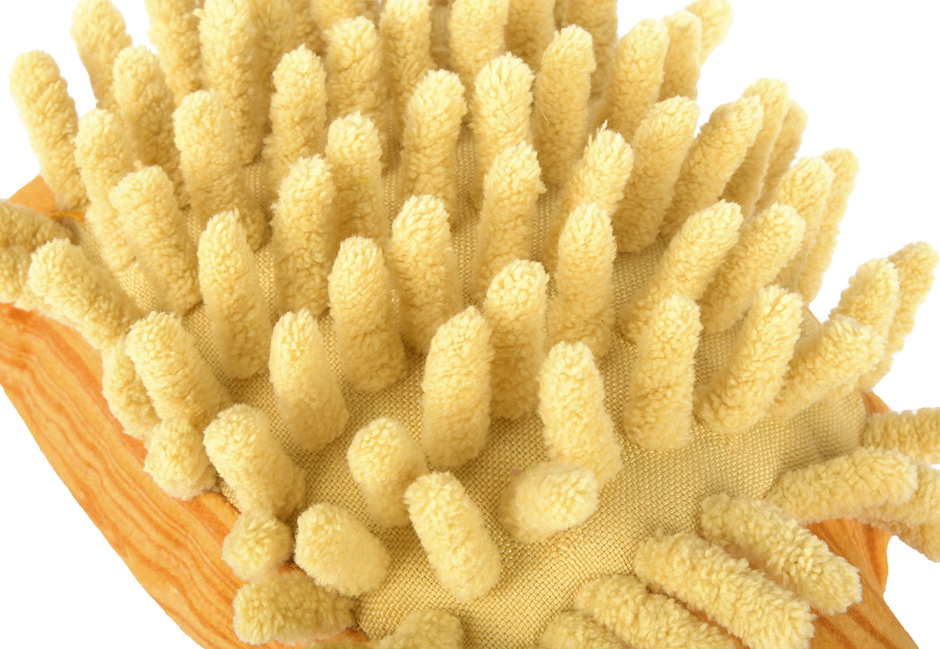 Splish Splash - Bark n' Bristles