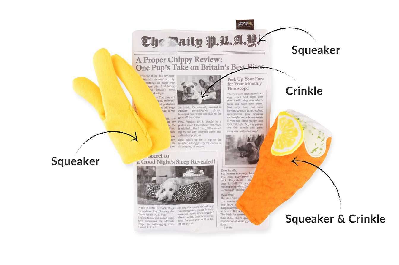 International Classic Chippy Chews - Fish n Chips